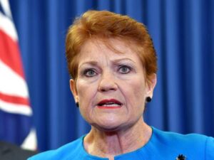 Read more about the article One Nation doubles Senate seats after surprise win