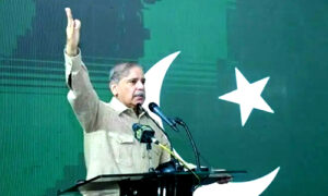 Read more about the article PM Shehbaz Launches 3-Year Power Subsidy: Boost for Industries