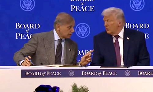 You are currently viewing Federal Cabinet Bold 7-Point Nod to Join Trump-Led Board of Peace