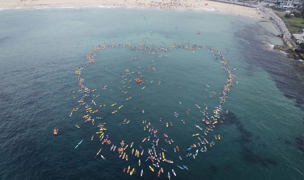 Sydney Shark Victim Powerful 1 Tribute as Parents Join Bondi Paddle Out