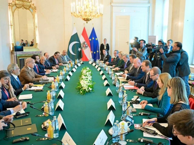PM Shehbaz urges Austrian in a hard 3-step plan to curb illegal flows