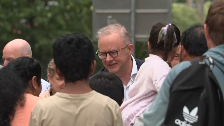 Albanese Flags NDIS Overhaul Tax Break Cuts: Shocking Four Changes