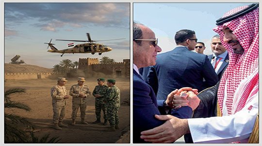 Egypt and Saudi defense crucial 1-point stance excludes Yemen